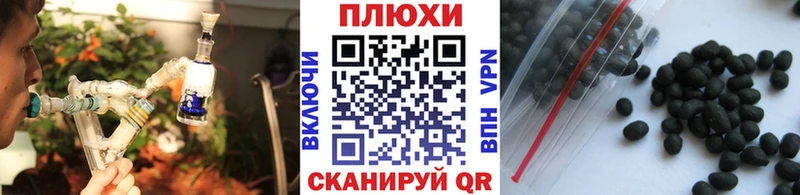 как найти Всеволожск ГАШИШ Ice-O-Lator