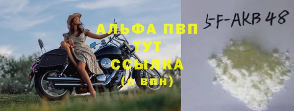 МДПВ Инсар