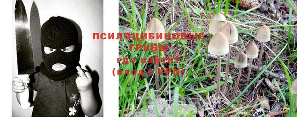 экстази Дмитриев