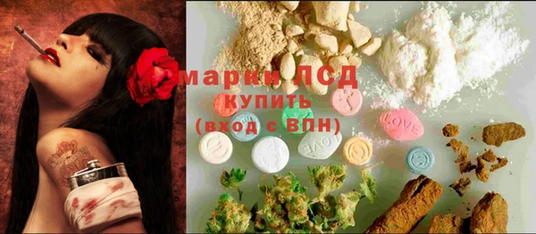 крисы Покачи