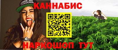 твердый Бийск