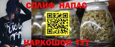 твердый Бийск