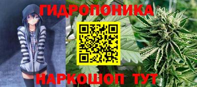 твердый Бийск