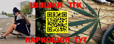 твердый Бийск