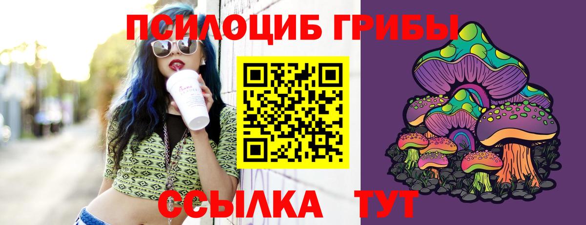 Галлюциногенные грибы прущие грибы Всеволожск