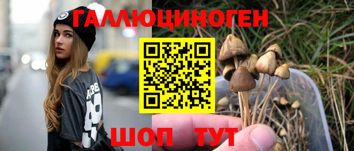 Псилоцибиновые грибы Psilocybine cubensis  Псилоцибиновые грибы Psilocybine cubensis  Всеволожск 